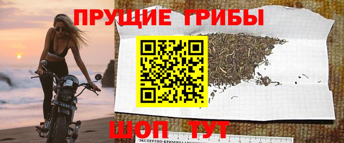 Красный Сулин  Псилоцибиновые грибы прущие грибы  Вход с VPN 